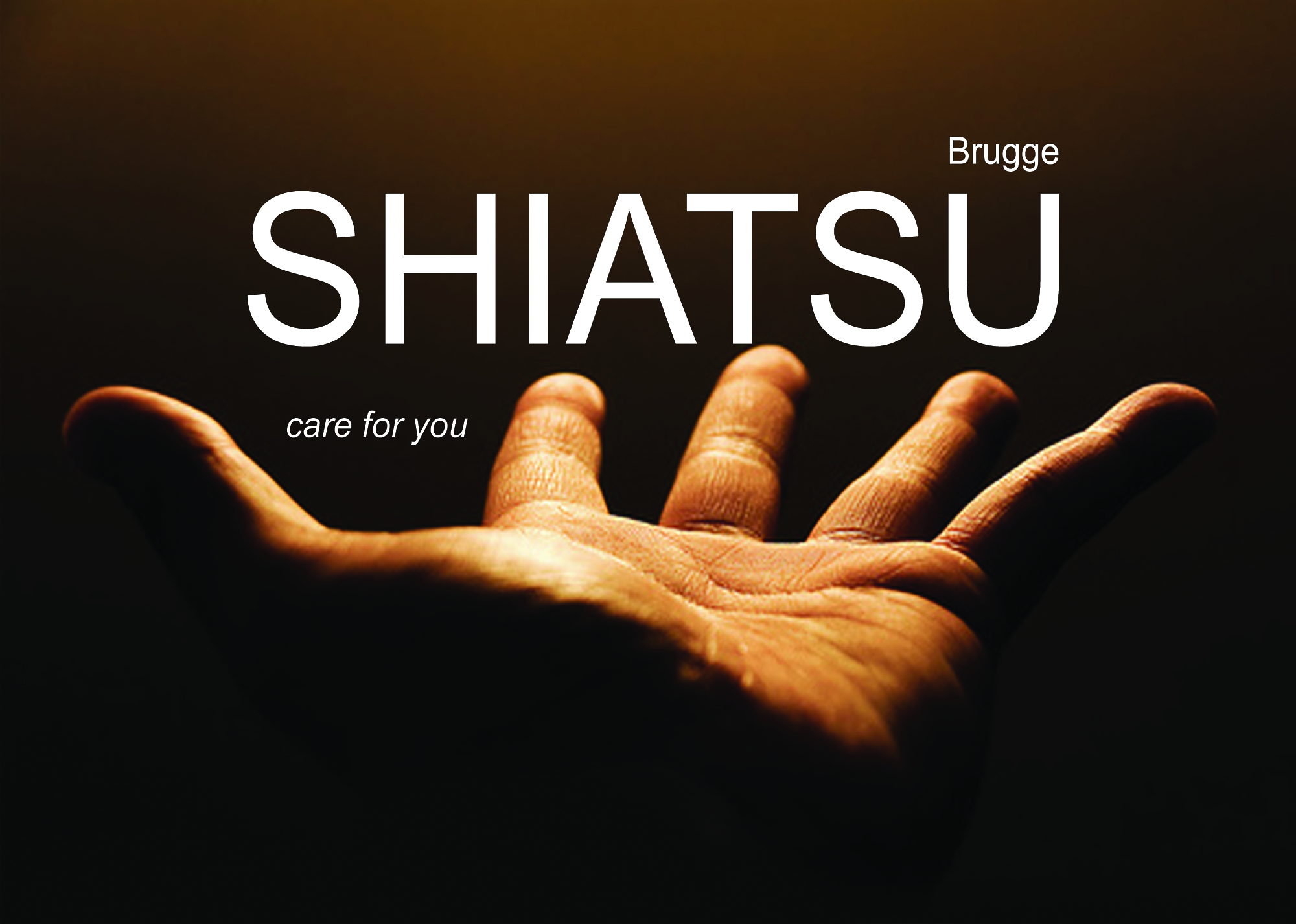 Shiatsu Brugge Logo: Hand